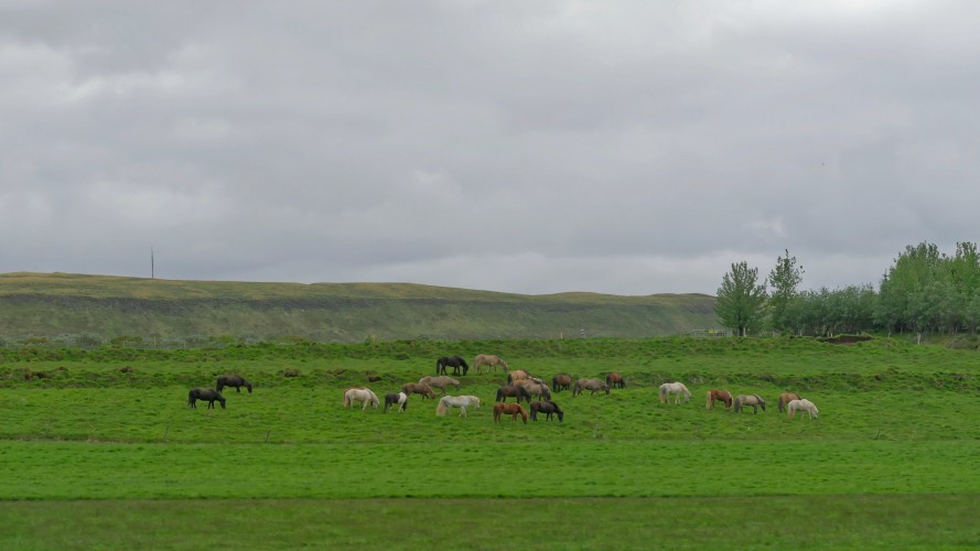 Geysir - Gullfoss