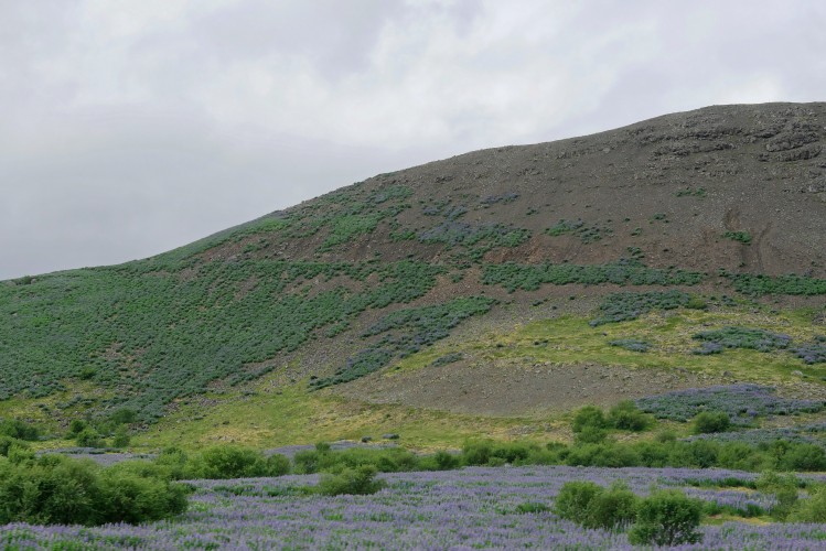 Dyrafjordur_1300497_dxo