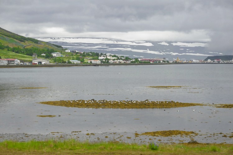 Isafjordur