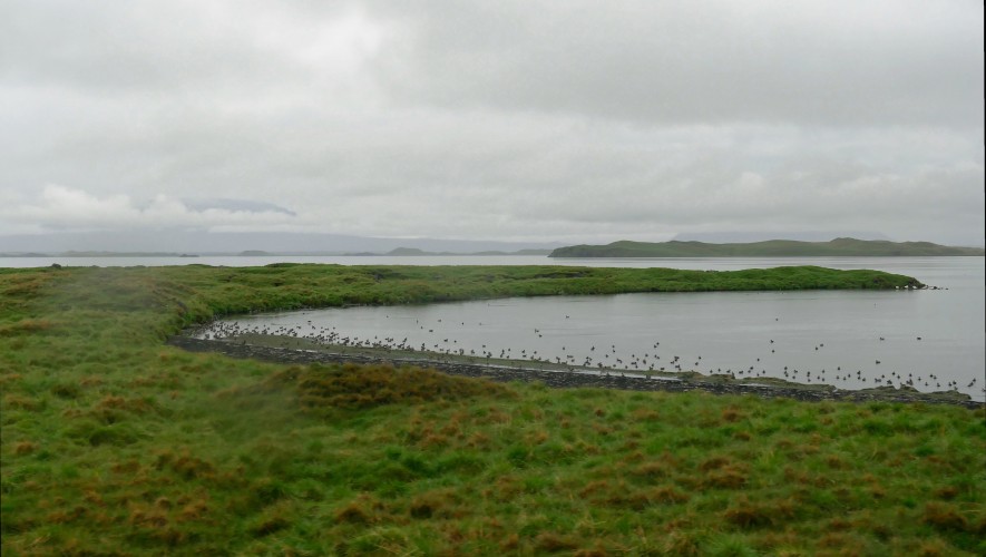 Lac Myvatn