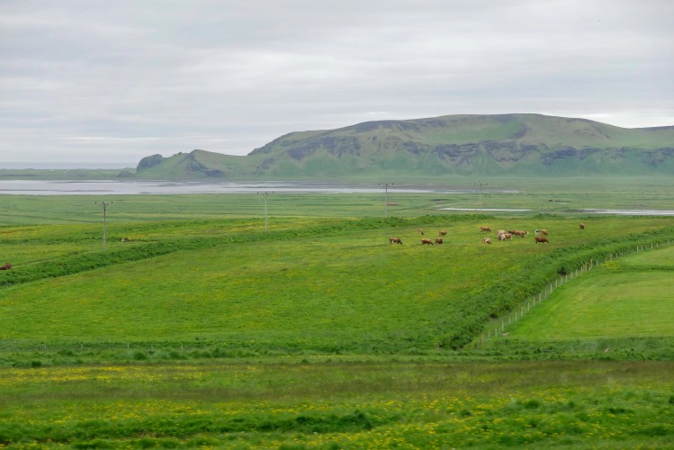 Reynisfjara Beach