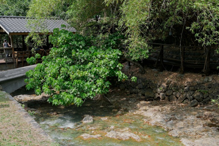 Beitou_Riviere_1210644_dxo