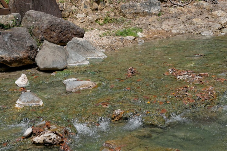 Beitou_Riviere_1210651_dxo