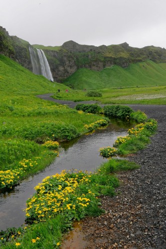 Seljalandsfoss__1230413_dxo