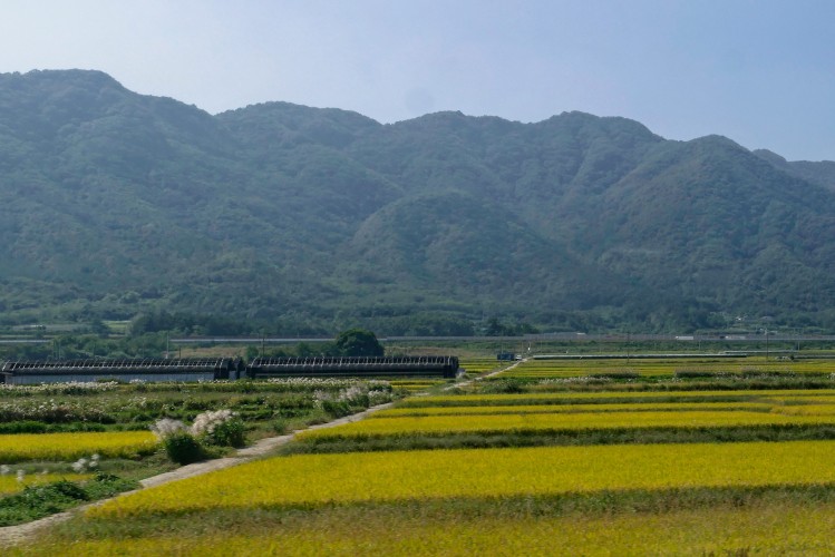 - Daegu - Gyeongju