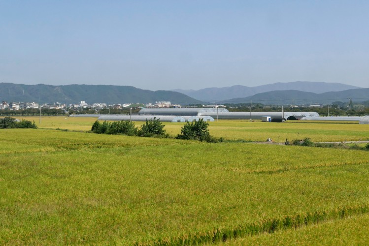 - Daegu - Gyeongju