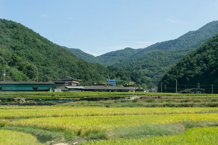 - Daegu - Haeinsa