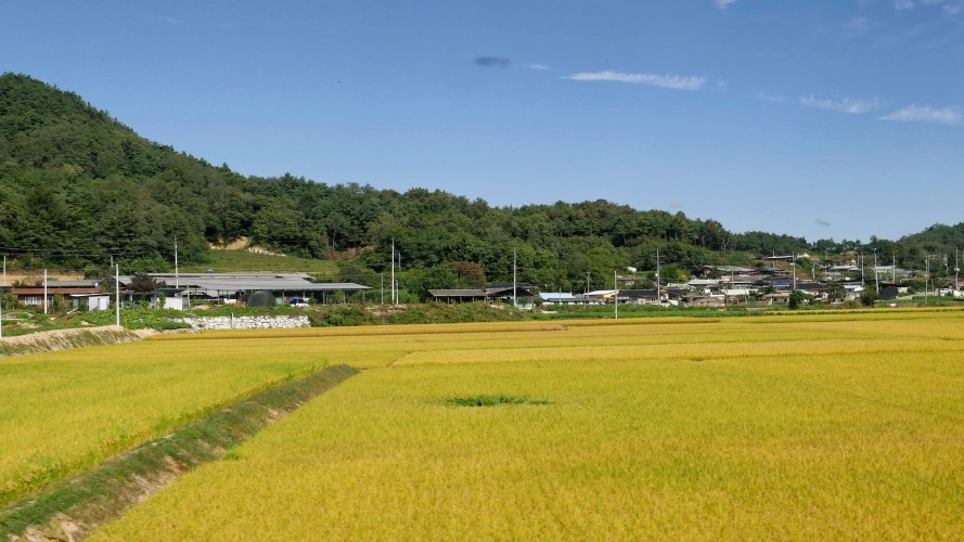 Trajet - Danyang-Andong