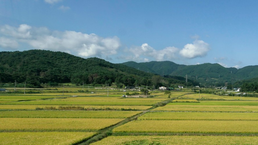 Gyeongju - Busan