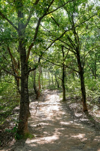 Hahoe_Buyongdae_1390382_dxo