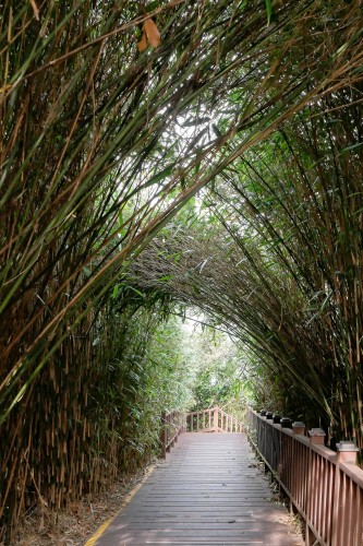 Yeosu - Parc Hallyeohaesang