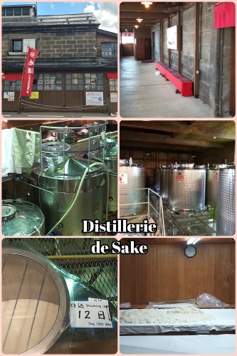CollageMaker_20190917_144214937