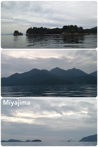 CollageMaker_20191002_161846099