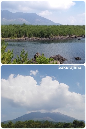 CollageMaker_20191006_173528620