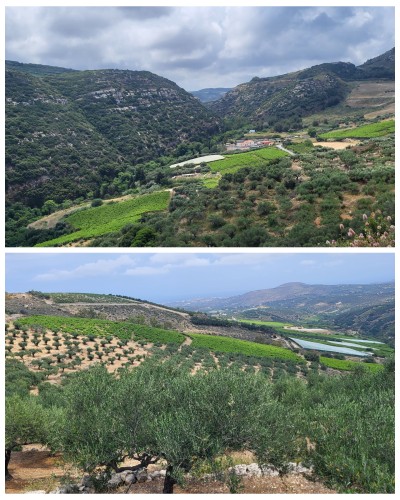 GridArt_20240527_130137350