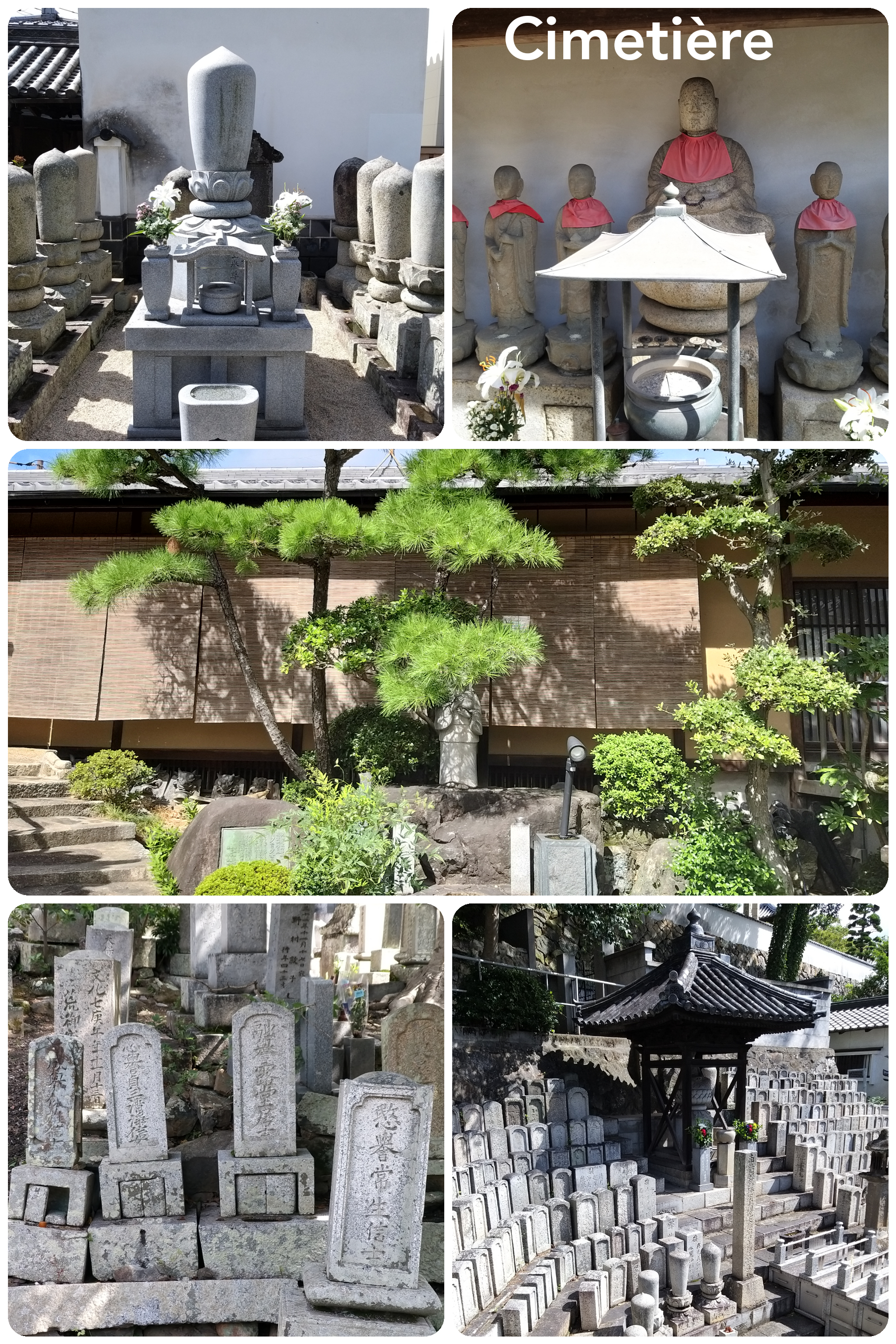 Visite d’un cimetière japonais