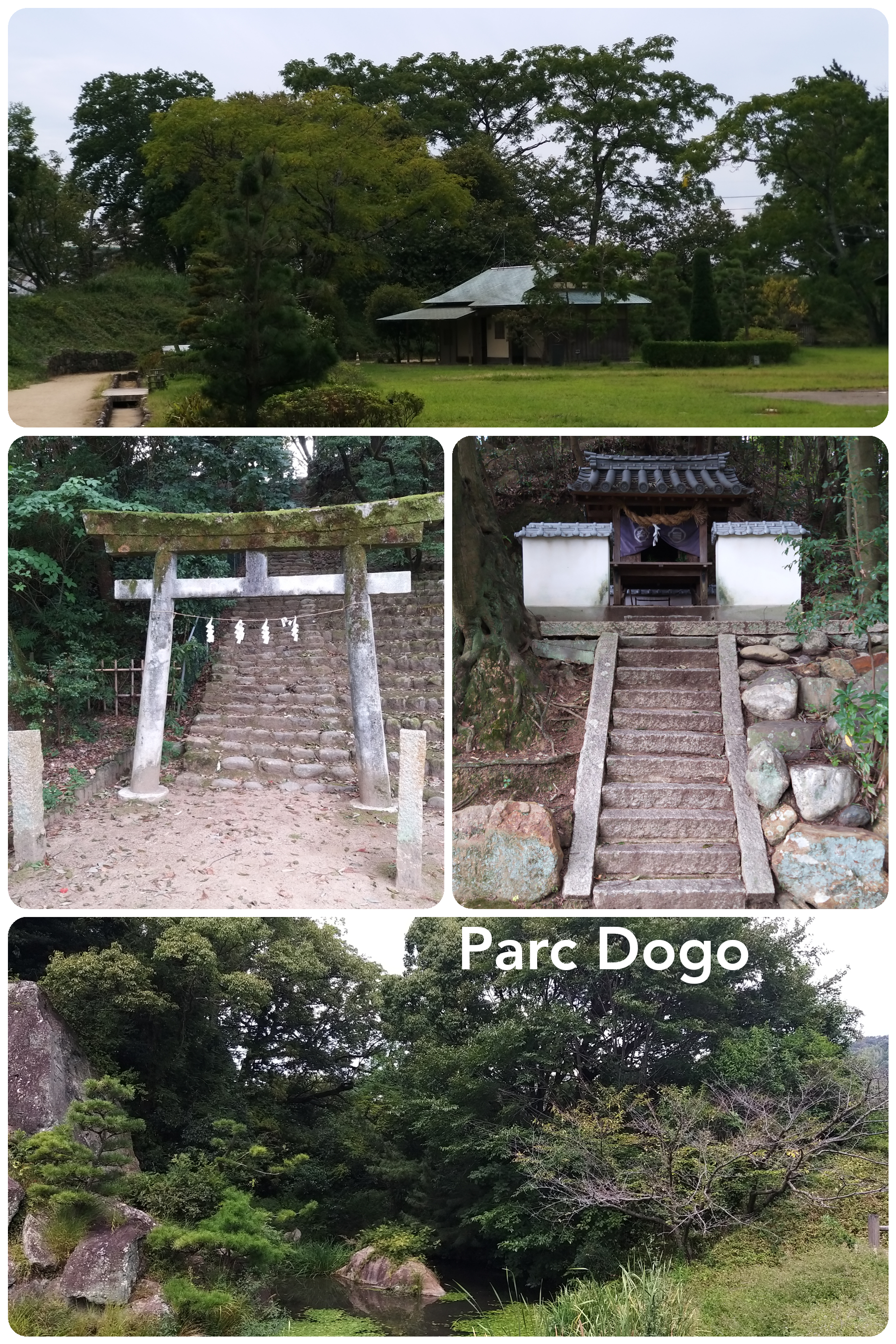 Matsuyama – Parc Dogo
