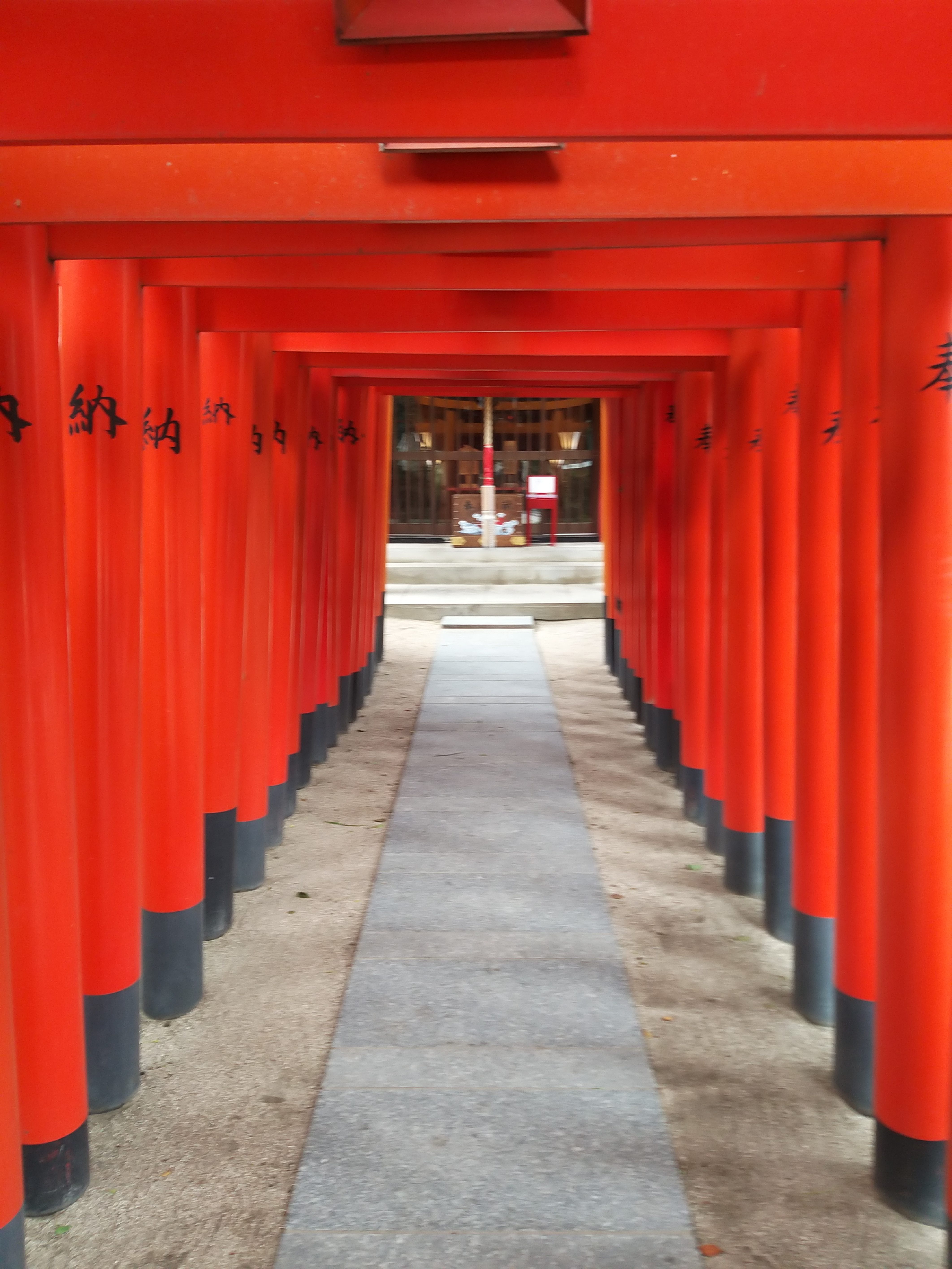 Sanctuaire Shintoïsme en vidéo