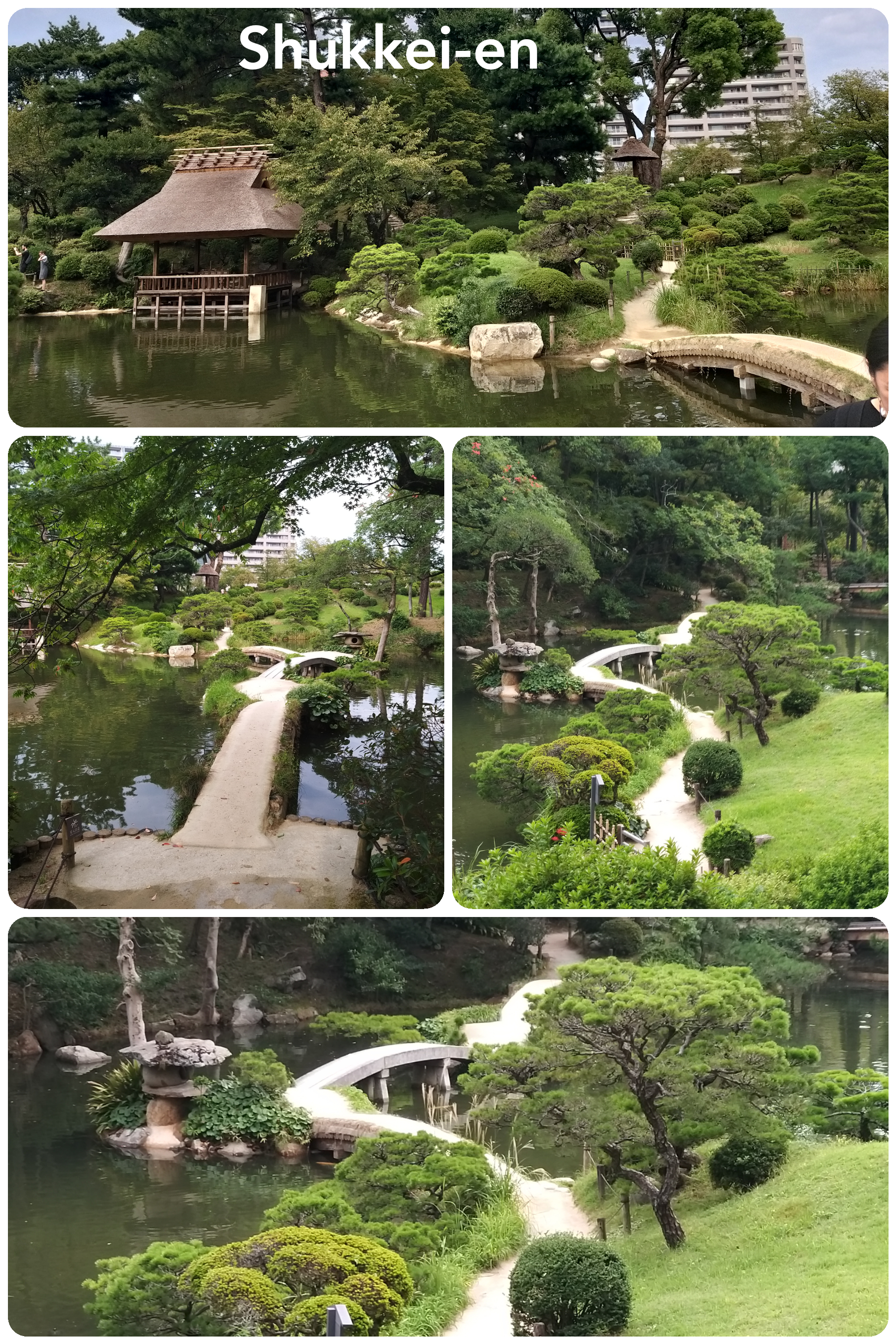 Hiroshima – Jardin Shukkei-en