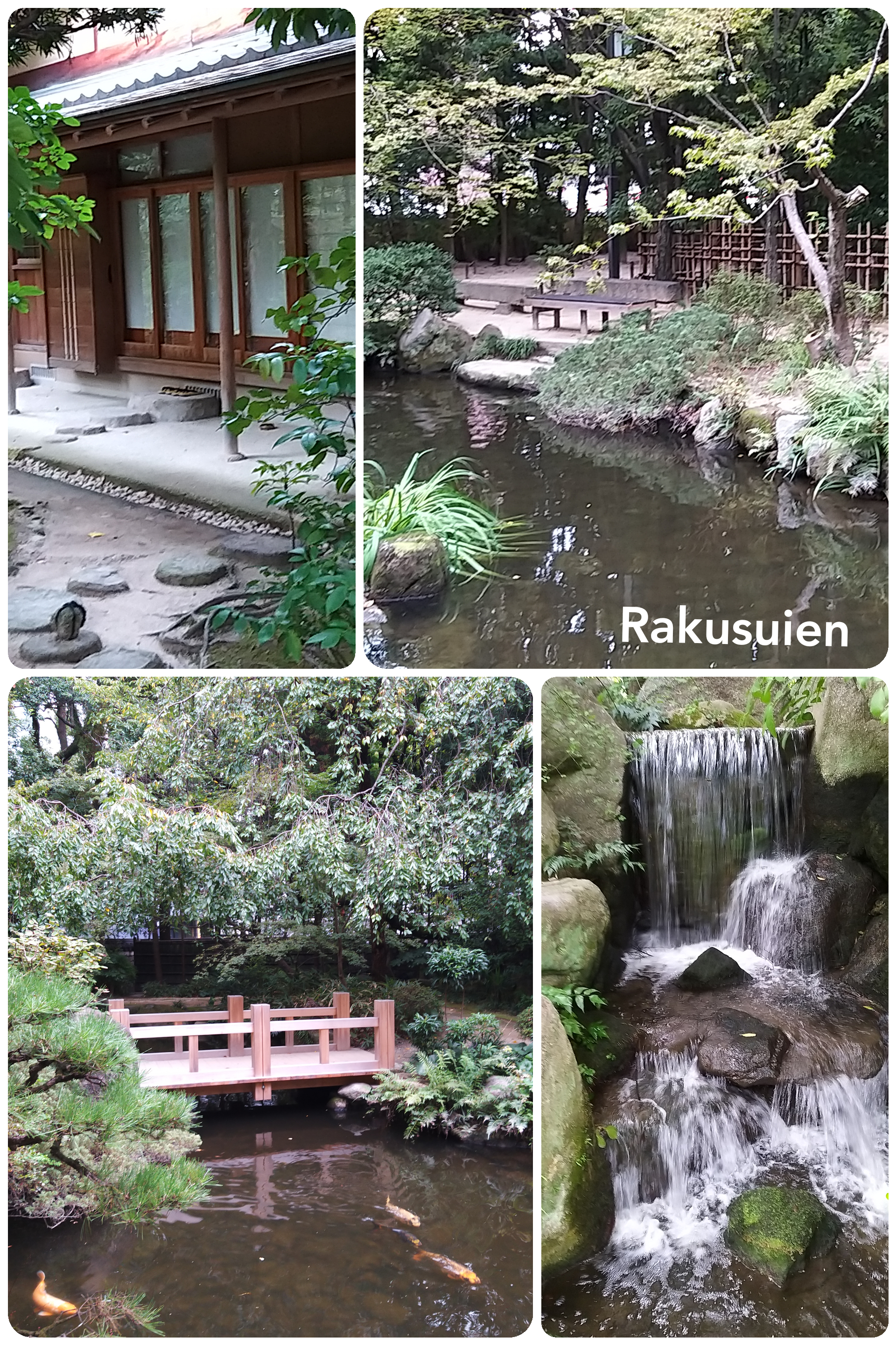 Rakusuien, un petit jardin à Fukuoka