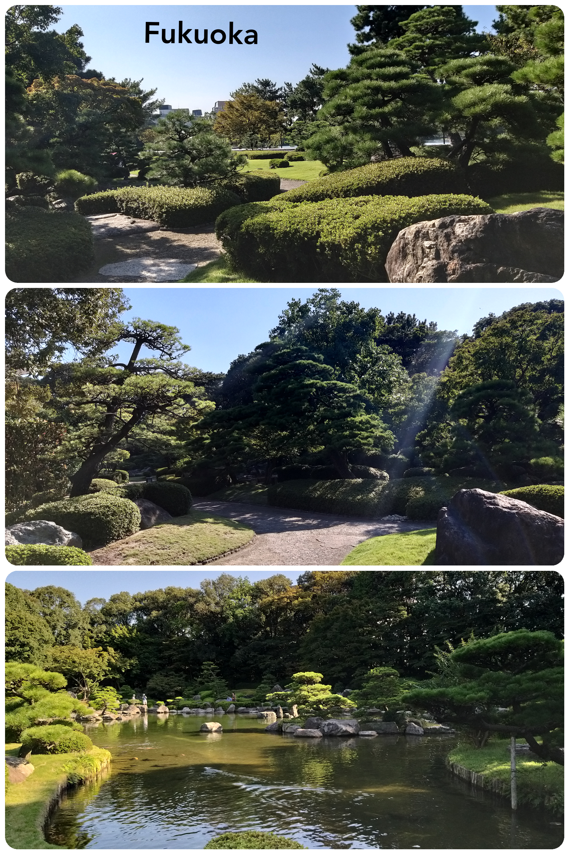 Fukuoka – jardin japonais