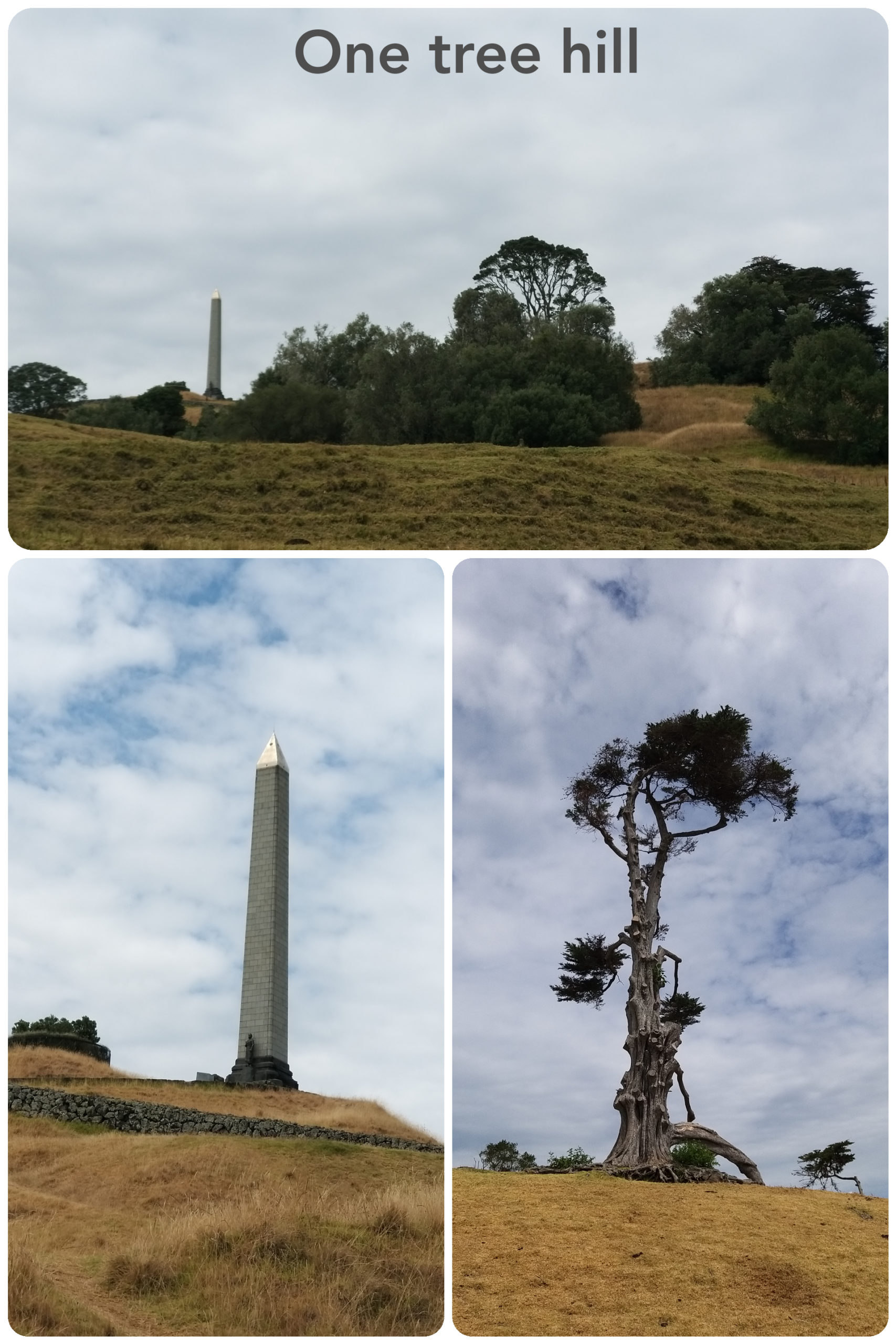 Auckland – One tree hill