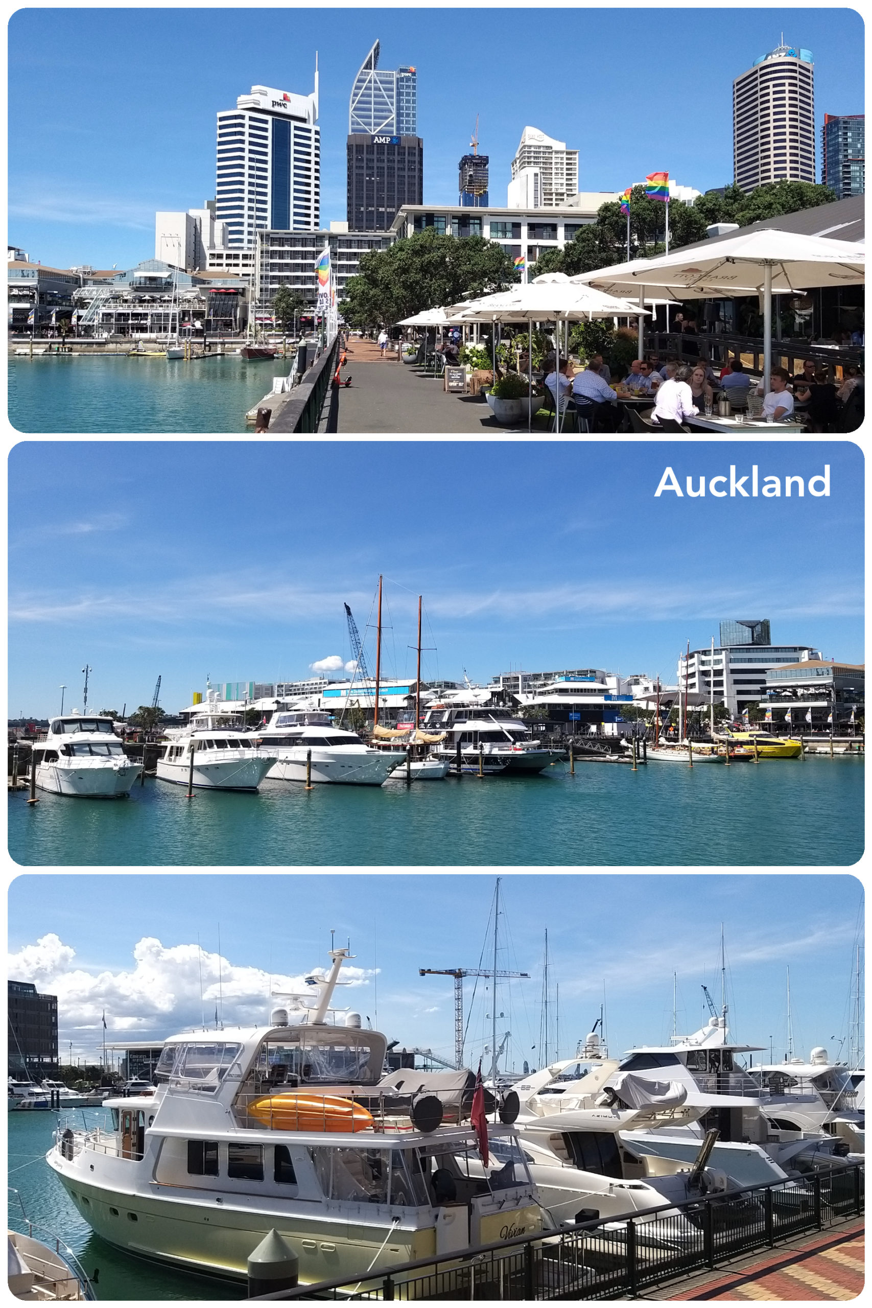 Auckland – Ports de plaisance