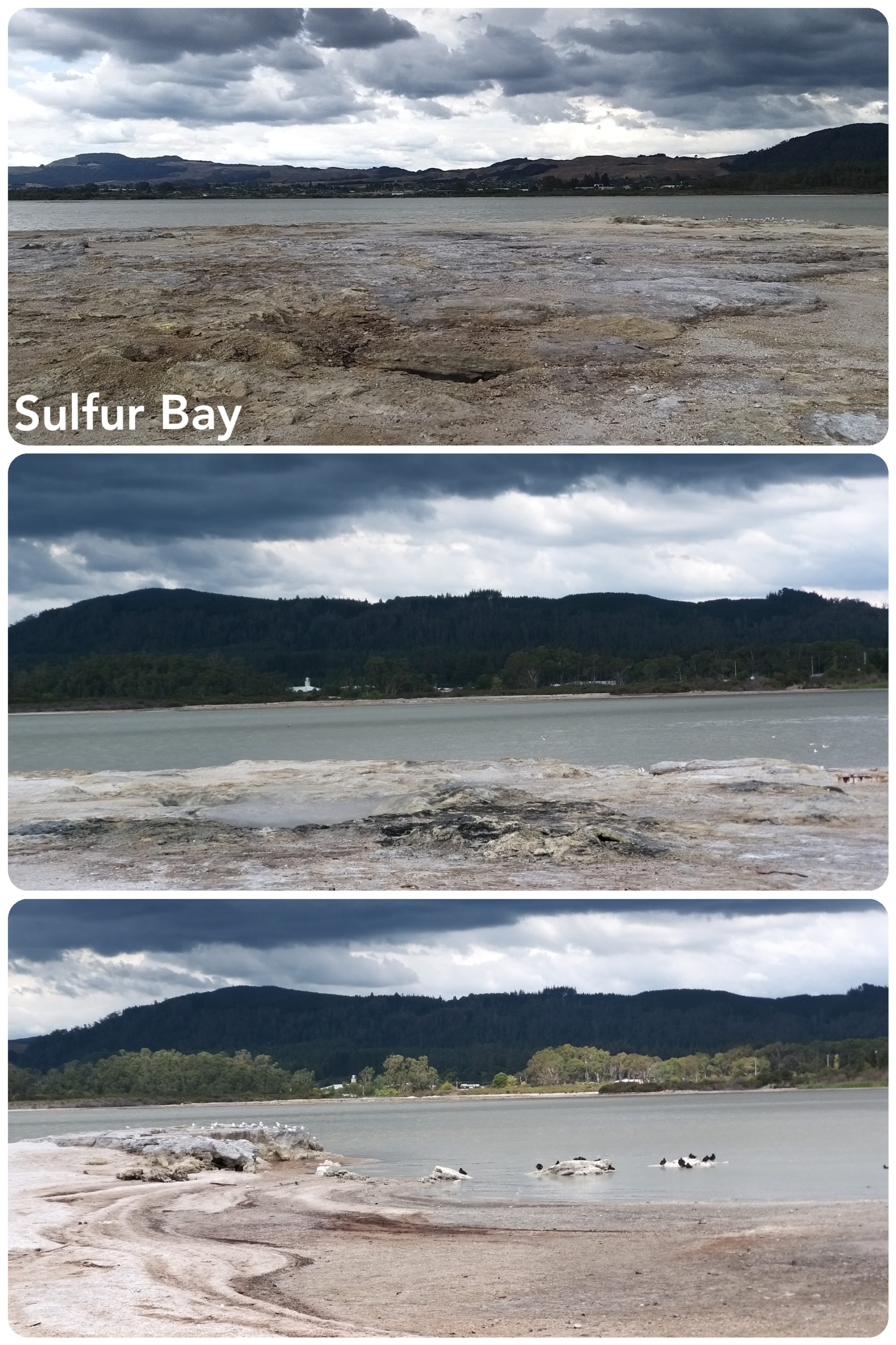 Rotorua – Sulfur Bay