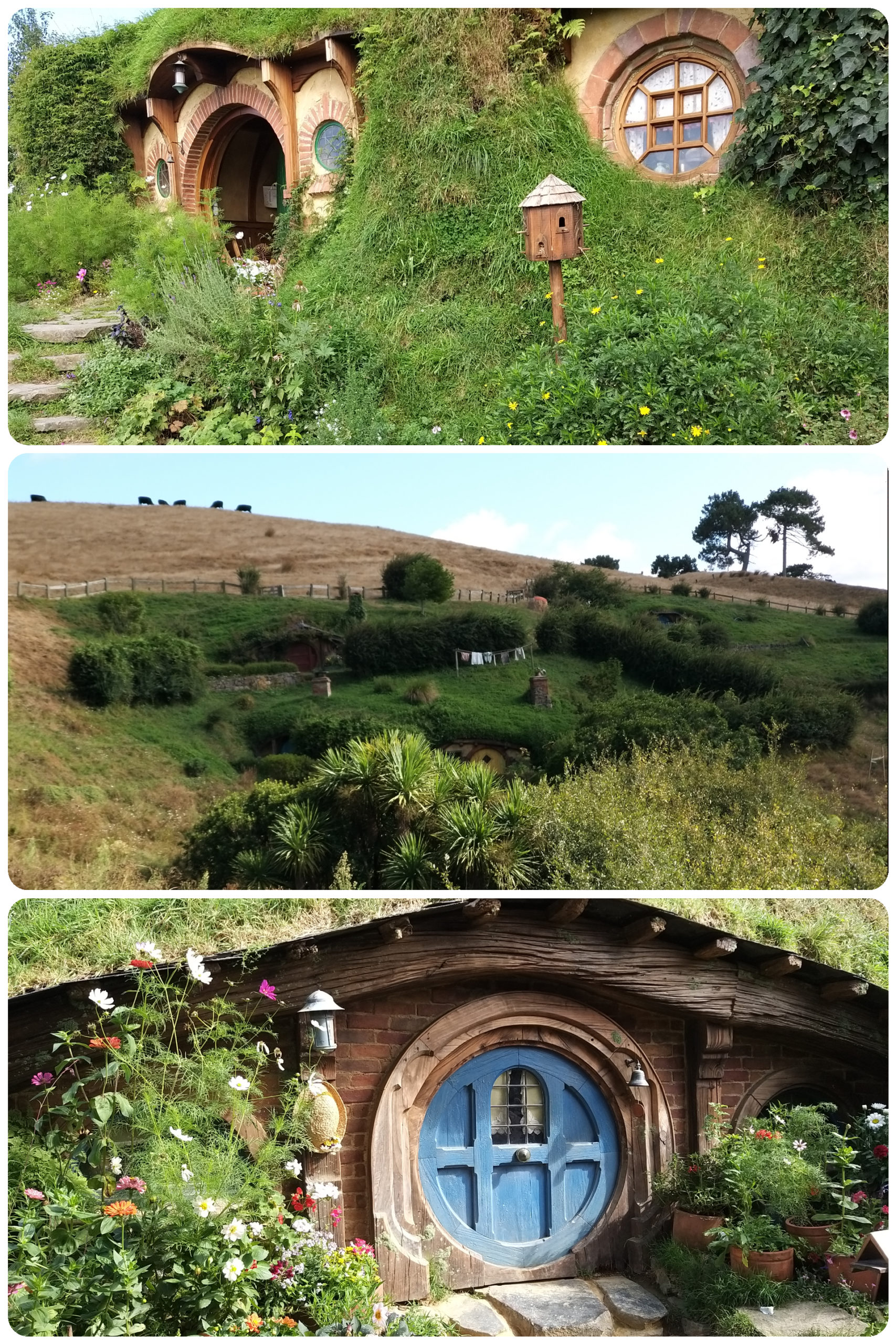 Hobbiton – Le village des Hobbits