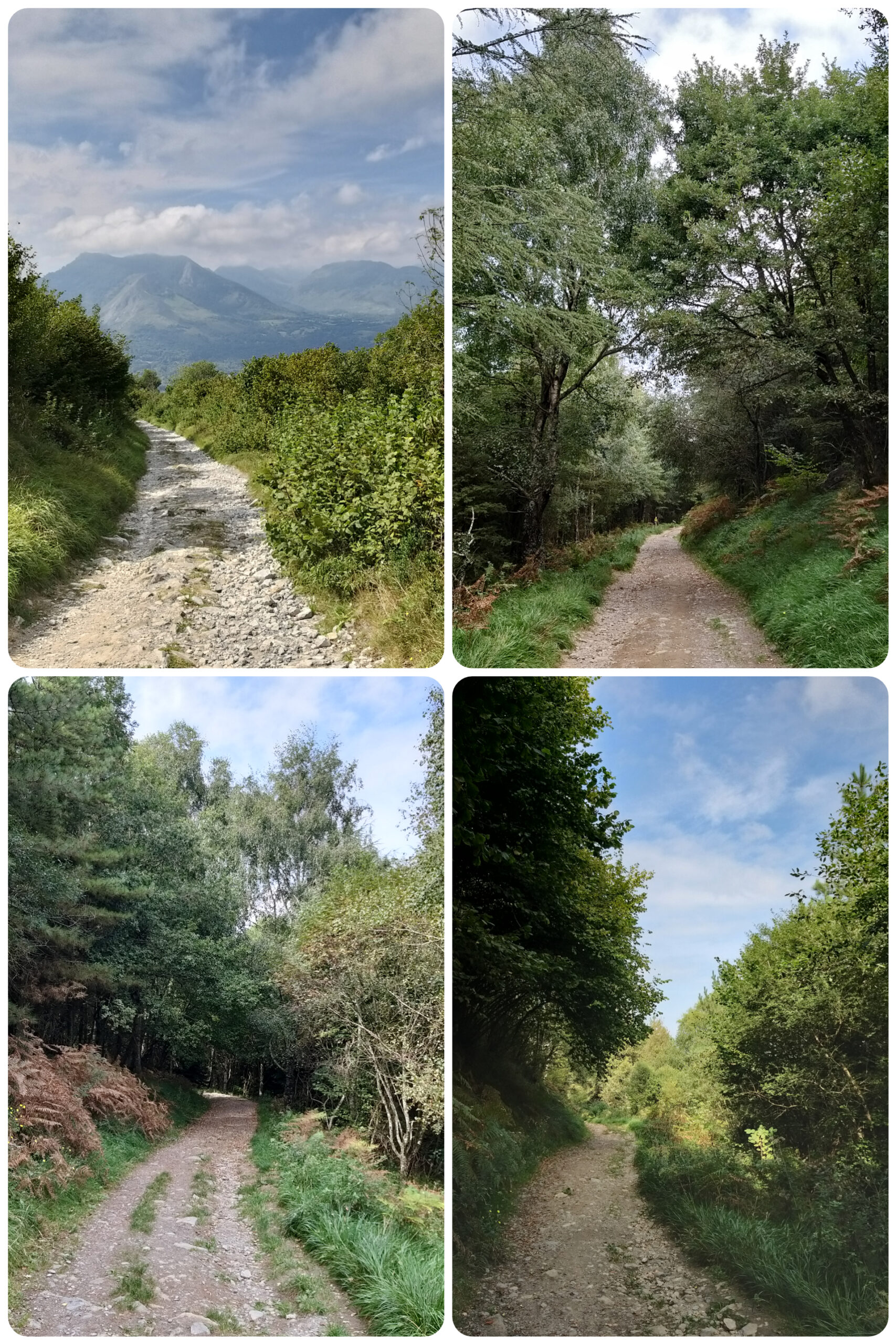 Lourdes – Chemin du Pic de Jer