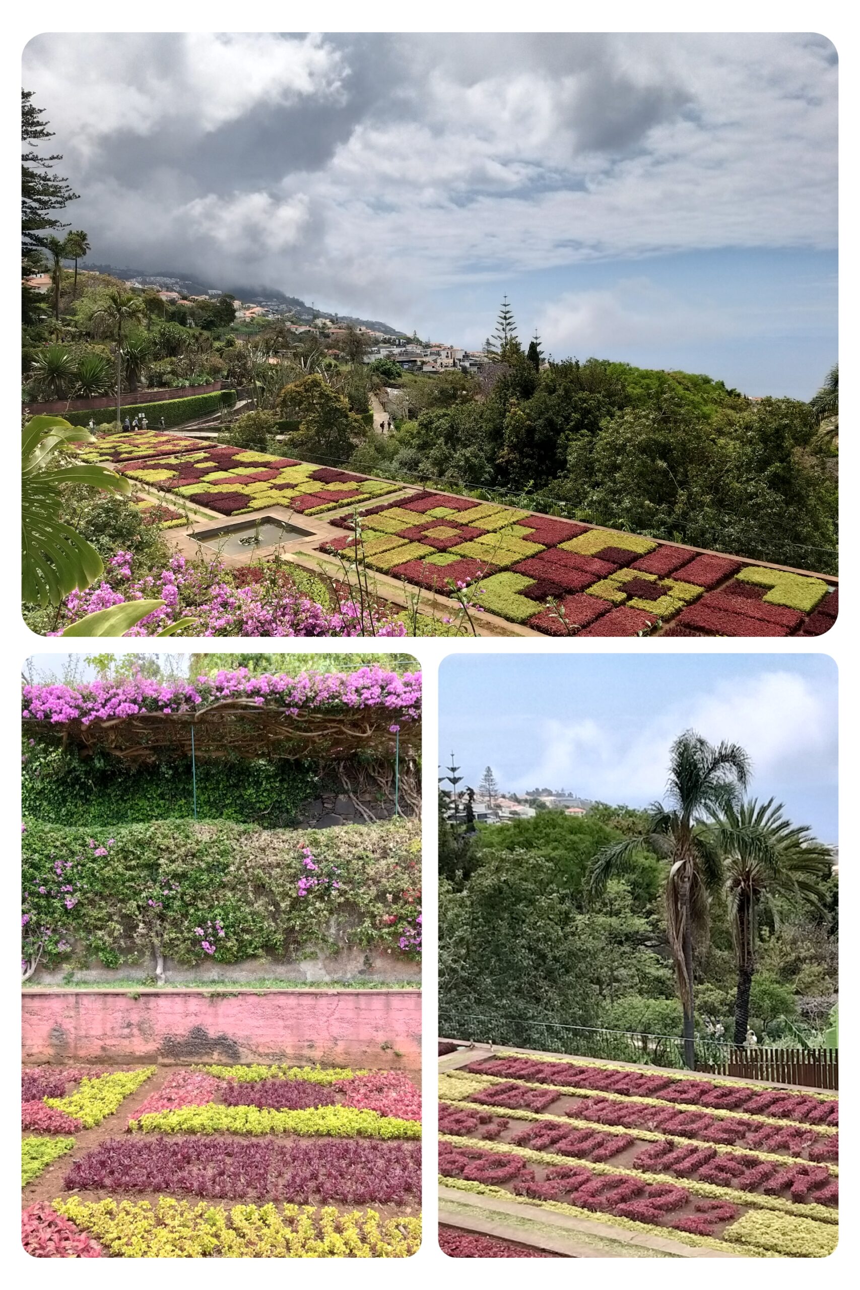 Funchal – jardin botanique