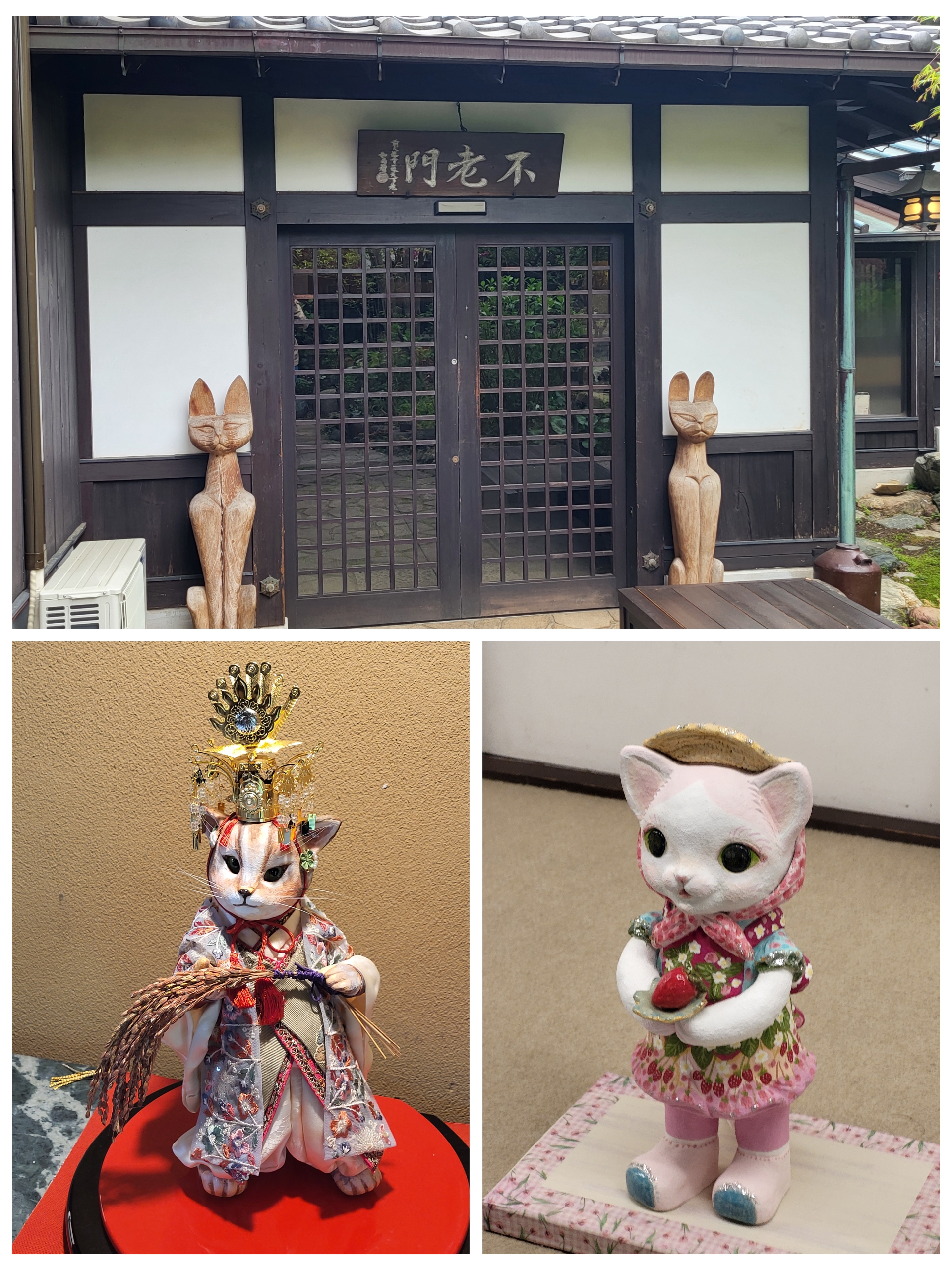 Kamakura – Musée expo chats